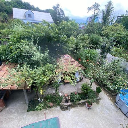 Holiday House Chkonia 호텔 바투미 외부 사진