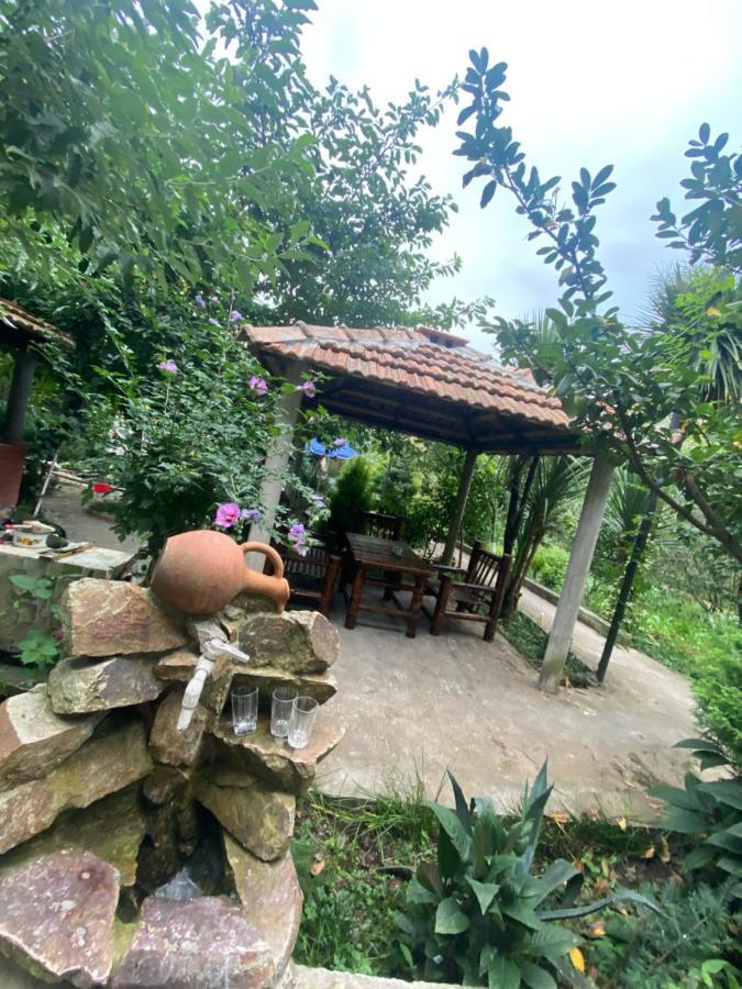 Holiday House Chkonia 호텔 바투미 외부 사진