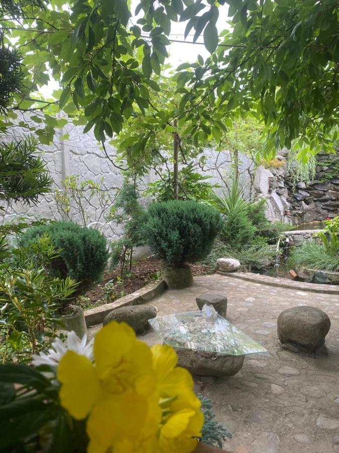 Holiday House Chkonia 호텔 바투미 외부 사진