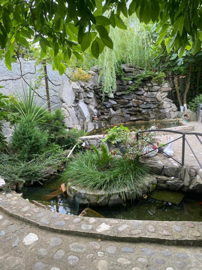 Holiday House Chkonia 호텔 바투미 외부 사진