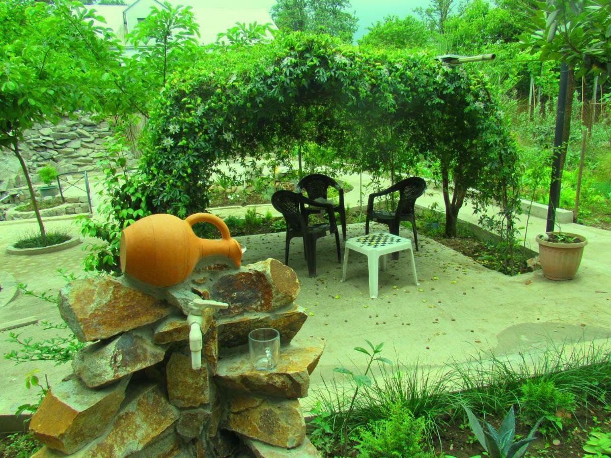 Holiday House Chkonia 호텔 바투미 외부 사진
