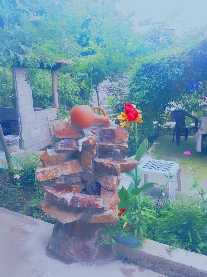Holiday House Chkonia 호텔 바투미 외부 사진