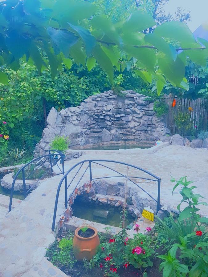 Holiday House Chkonia 호텔 바투미 외부 사진