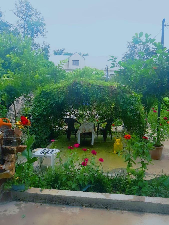 Holiday House Chkonia 호텔 바투미 외부 사진