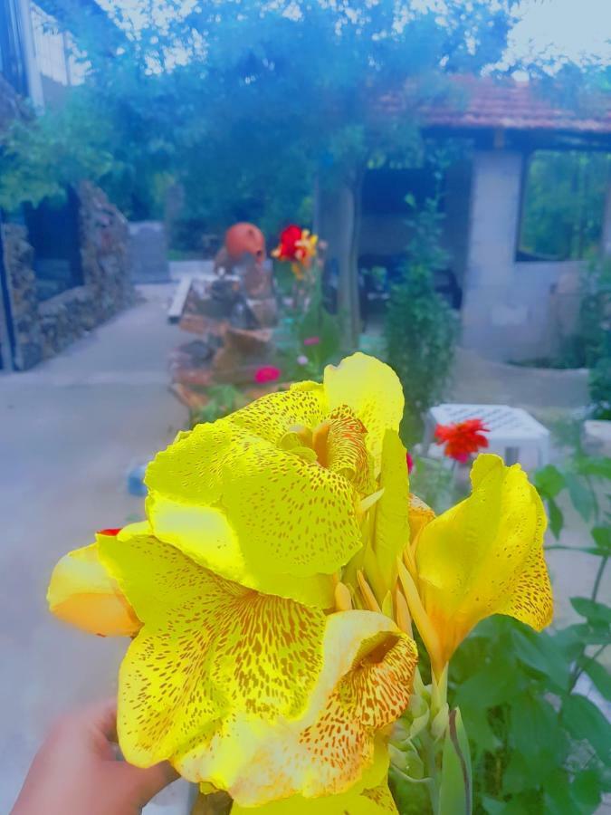 Holiday House Chkonia 호텔 바투미 외부 사진